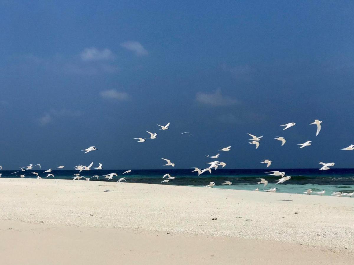 Huvan Inn Fulidhoo Bagian luar foto